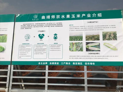 推廣有機肥改良土壤結構，云南國發助力師宗煙草綠色高質量發展
