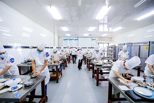 重慶高新區(qū)首屆“高新工匠杯”技能大賽開賽，信息技術(shù)咨詢服務(wù)領(lǐng)域人才角逐巔峰