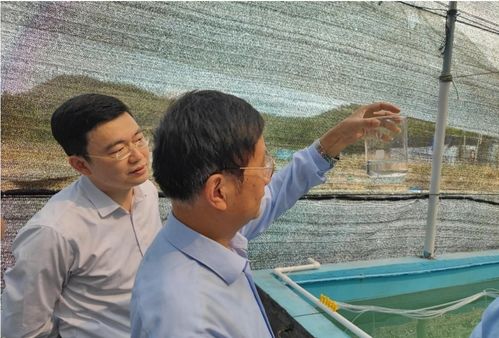 紅九棘鱸苗種批量化培育項目通過現(xiàn)場驗收